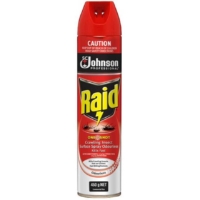 Raid CIK Spray 450gm