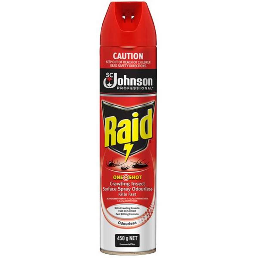 Raid CIK Spray 450gm